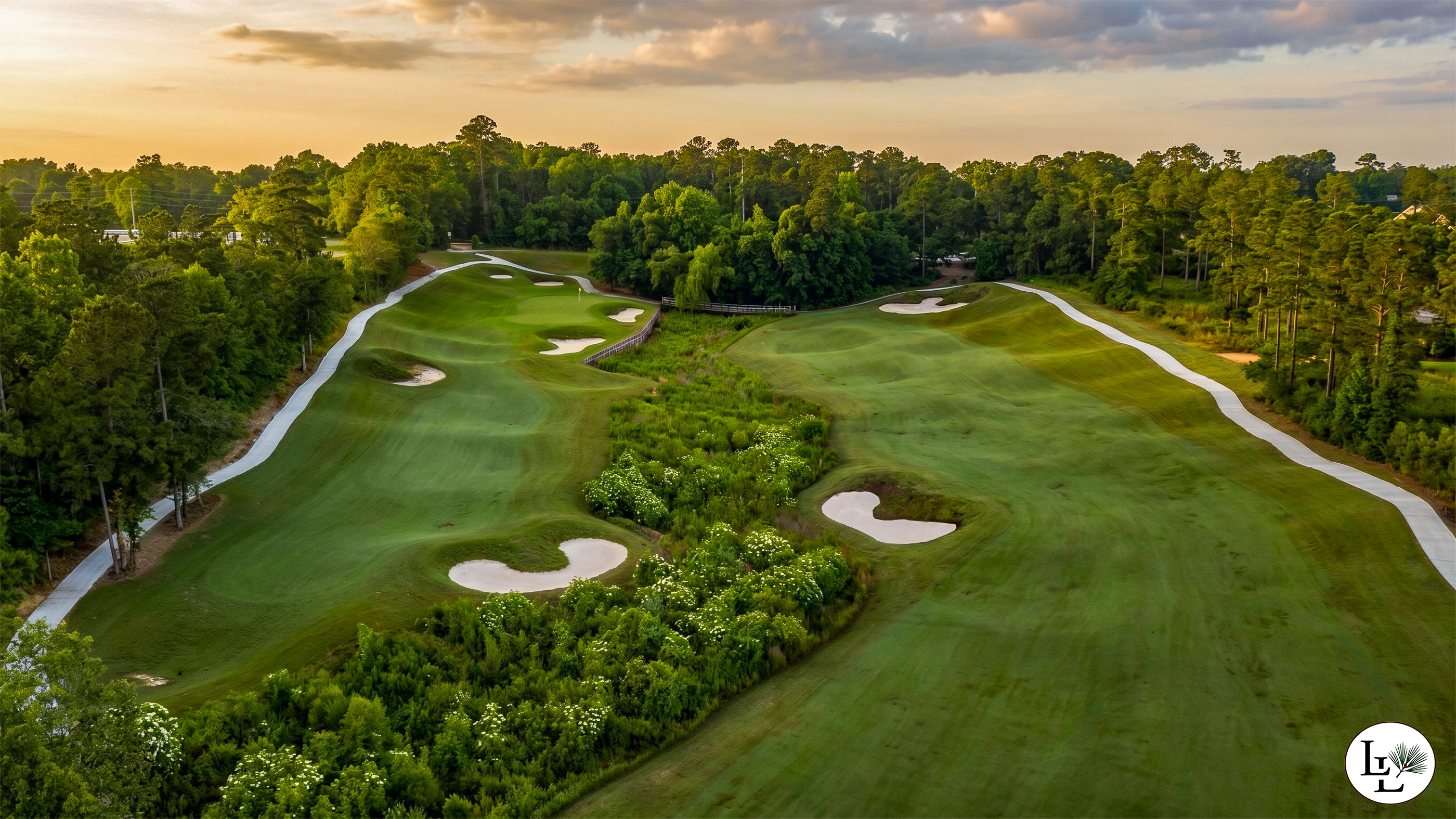 The fifteenth hole at Longleaf at golden hour, framed by native longleaf pines